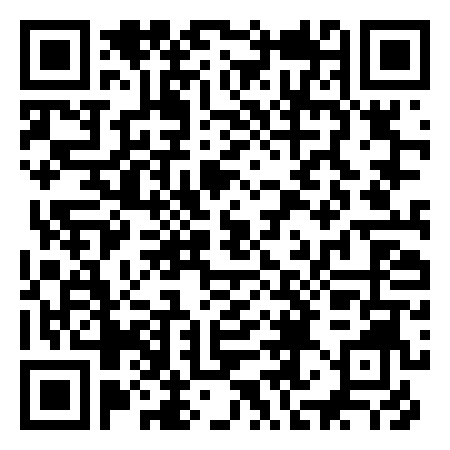 QR Code de Il Birillo S.A.S Di subashi & c