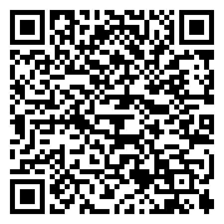 QR Code de Dual Loop