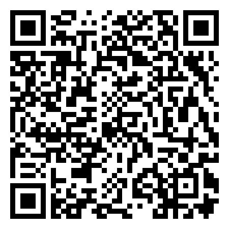 QR Code de Pfishok world