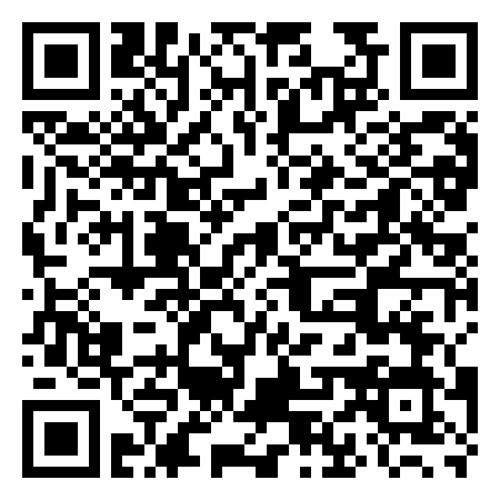 QR Code de Minigolf Bar Erika Seis