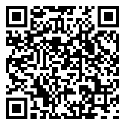 QR Code de Puntic