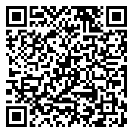 QR Code de Zig Zag Path