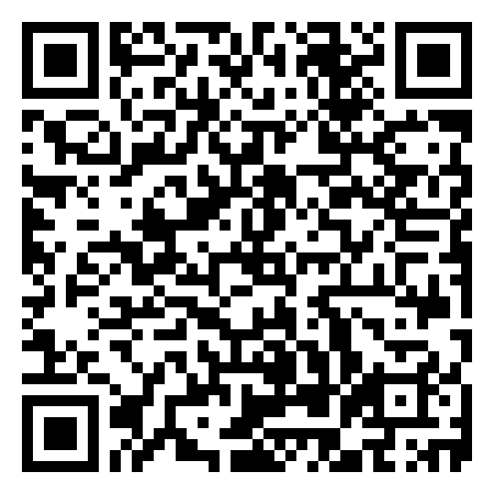 QR Code de Statua Bronzea di Rino Gaetano