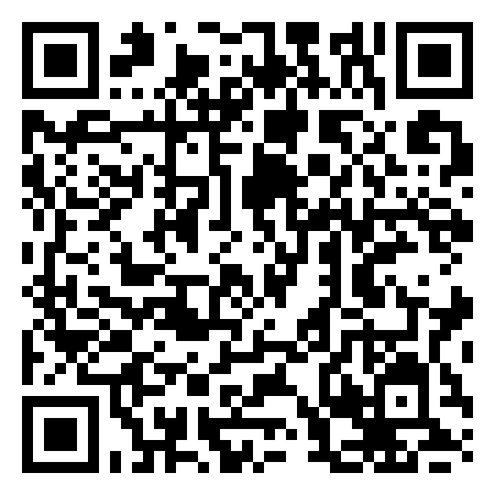 QR Code de Mickey Mouse XL giro in barca
