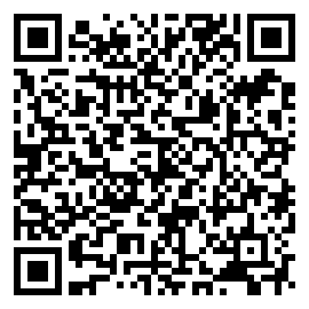 QR Code de 15 pins Park