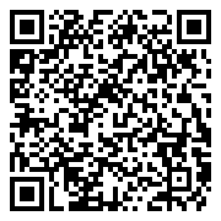 QR Code de Disco bowling