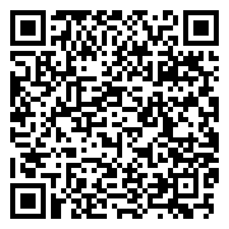 QR Code de Millennium Park