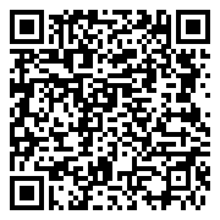 QR Code de Pineapple Black