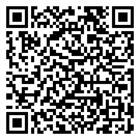 QR Code de Disegni su pietra