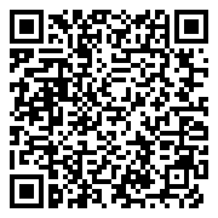 QR Code de Lyon Pedicab Tours: Vélo Taxi et Visites Culturelles