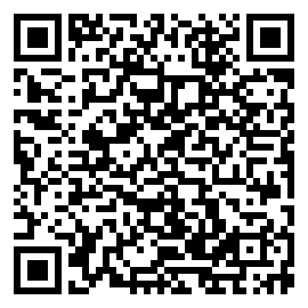 QR Code de The Fly