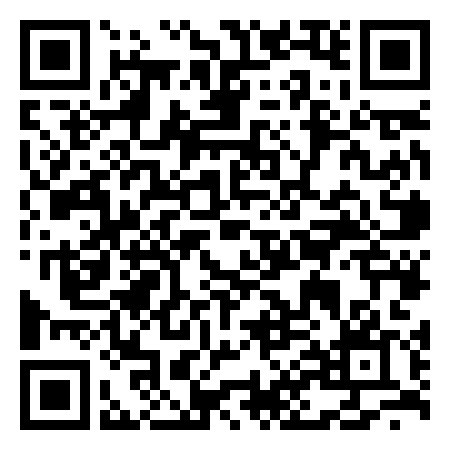 QR Code de The Dolphin