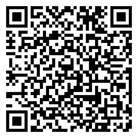 QR Code de Revolution