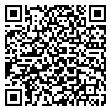 QR Code de Punch
