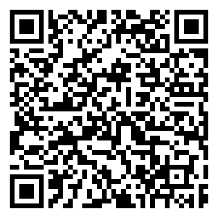 QR Code de Lyon Flipper - Playades