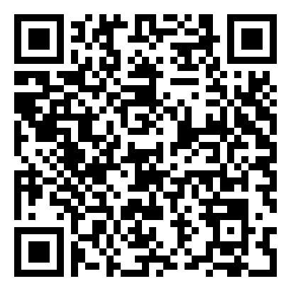 QR Code de Carousel Bingo