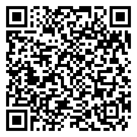 QR Code de Steam and Salt