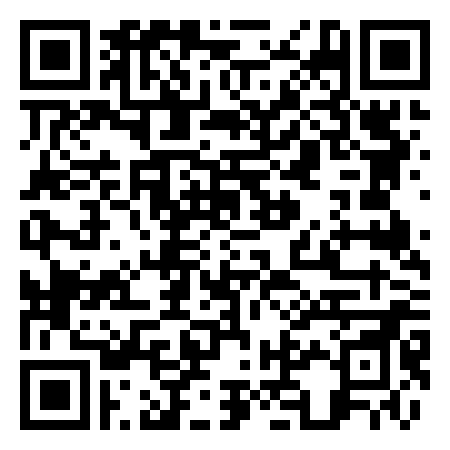 QR Code de Manneken Pis