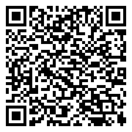 QR Code de disco bar camelot