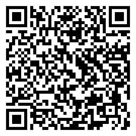 QR Code de Turtles - American Sport Teams