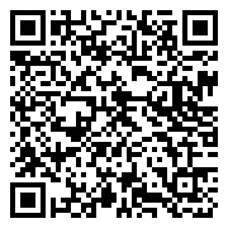 QR Code de Sud Singulier