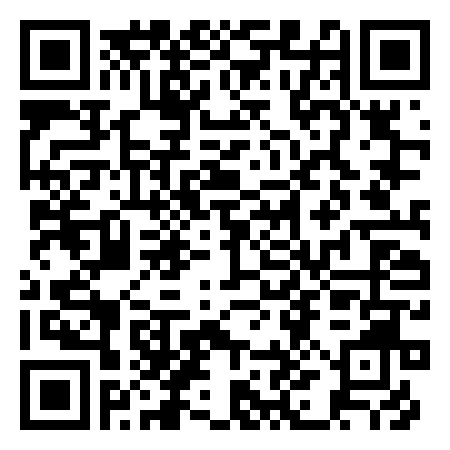 QR Code de Ferris wheel