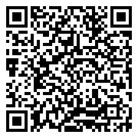 QR Code de The Disco Disco Matteo