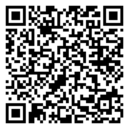 QR Code de Ladybug