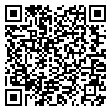 QR Code de VANINI IN PITTURA