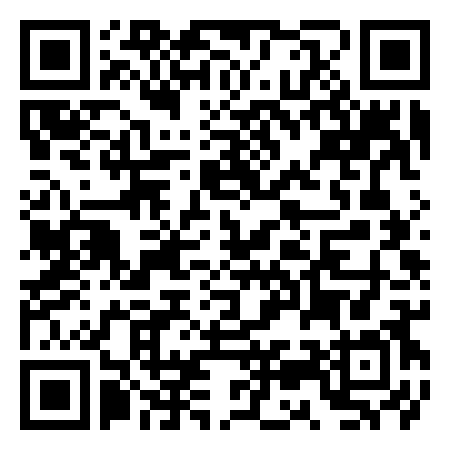 QR Code de Insanity Gaming Arcade