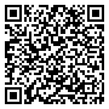 QR Code de Bronze Frogs