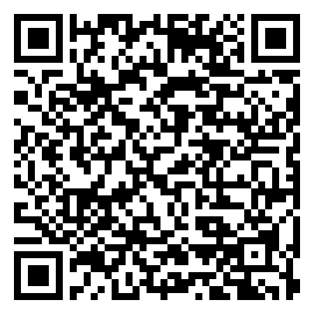 QR Code de Lizard Art