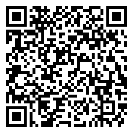 QR Code de Mini Fundus
