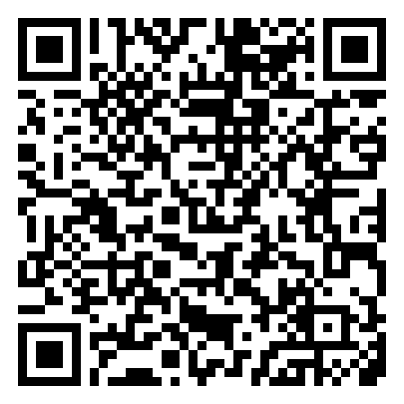 QR Code de Forma Sirena