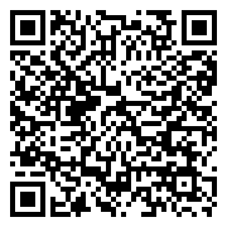 QR Code de Nemo Raceway