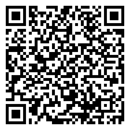 QR Code de Cheetahs in bronze