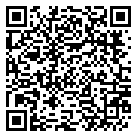 QR Code de Skydive Zürich
