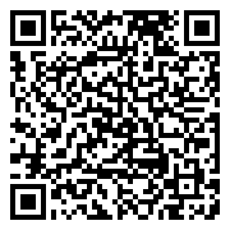 QR Code de Flag Maxi Disco