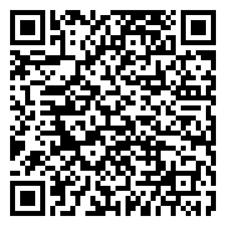 QR Code de Peter Lemans